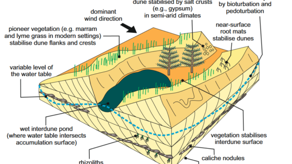 stabilised_aeolian_model